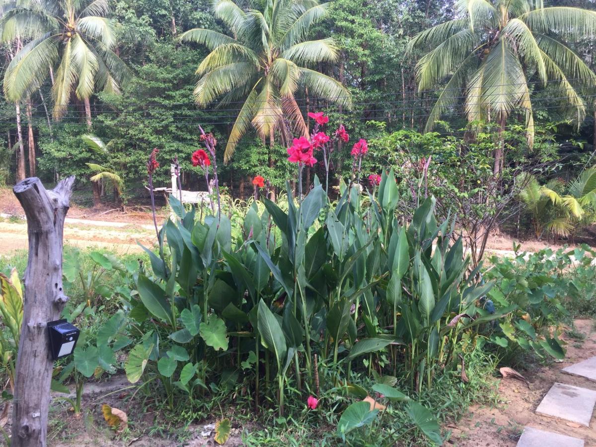 Phayam Garden View 호텔 코 파얌 외부 사진