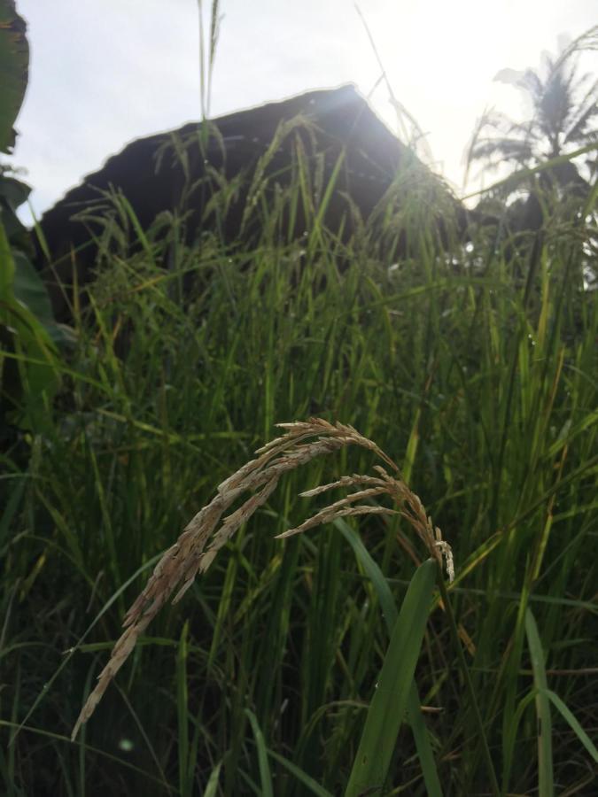 Phayam Garden View 호텔 코 파얌 외부 사진
