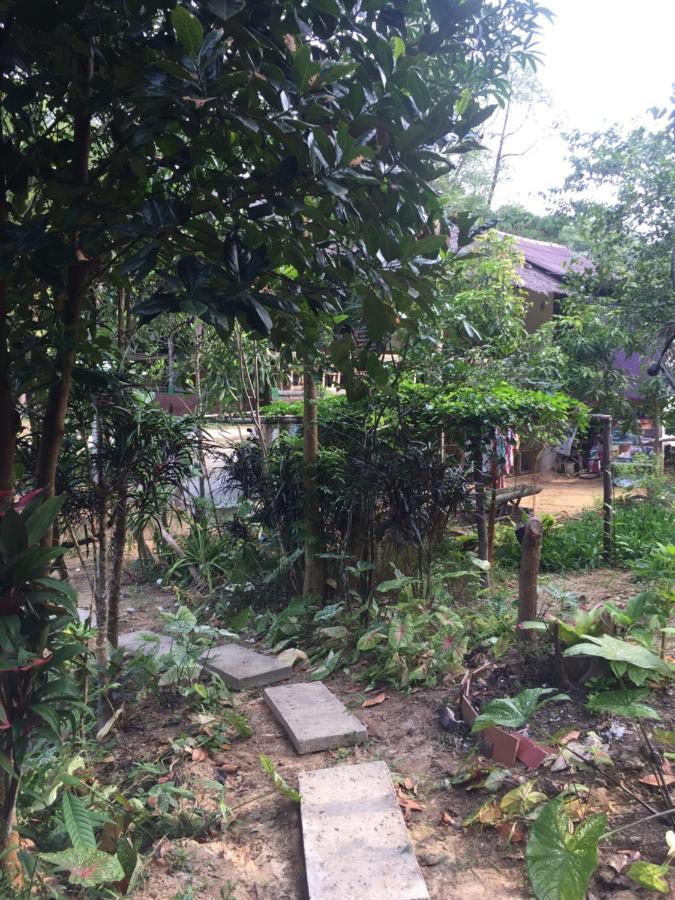 Phayam Garden View 호텔 코 파얌 외부 사진