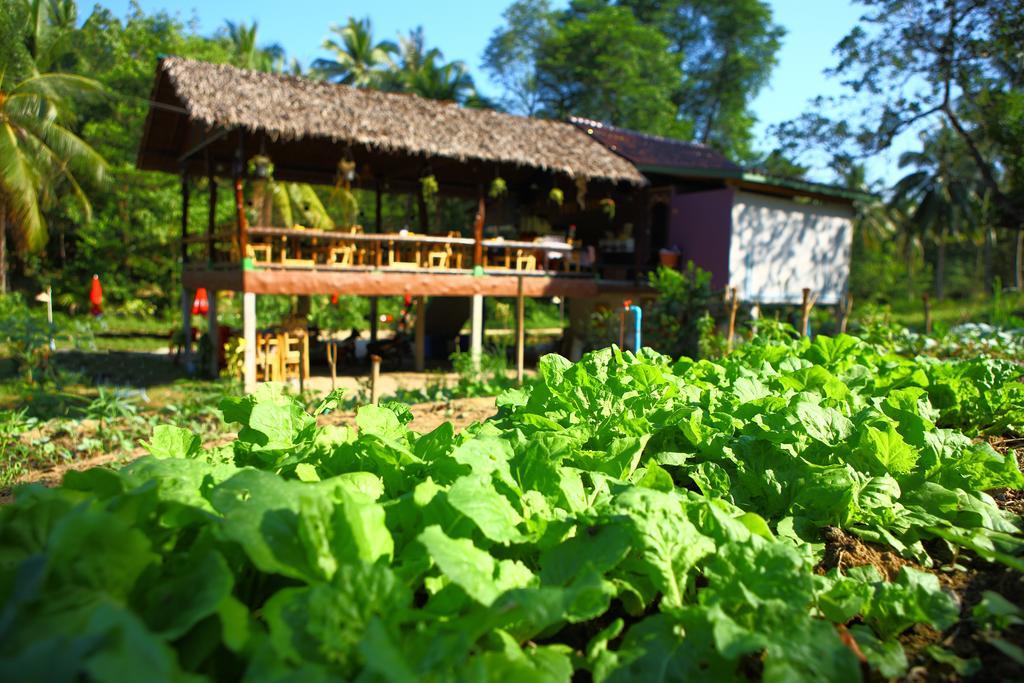 Phayam Garden View 호텔 코 파얌 외부 사진